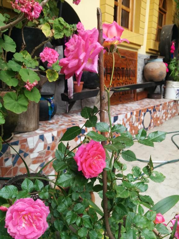 Hostal Curinan Otavalo Luaran gambar